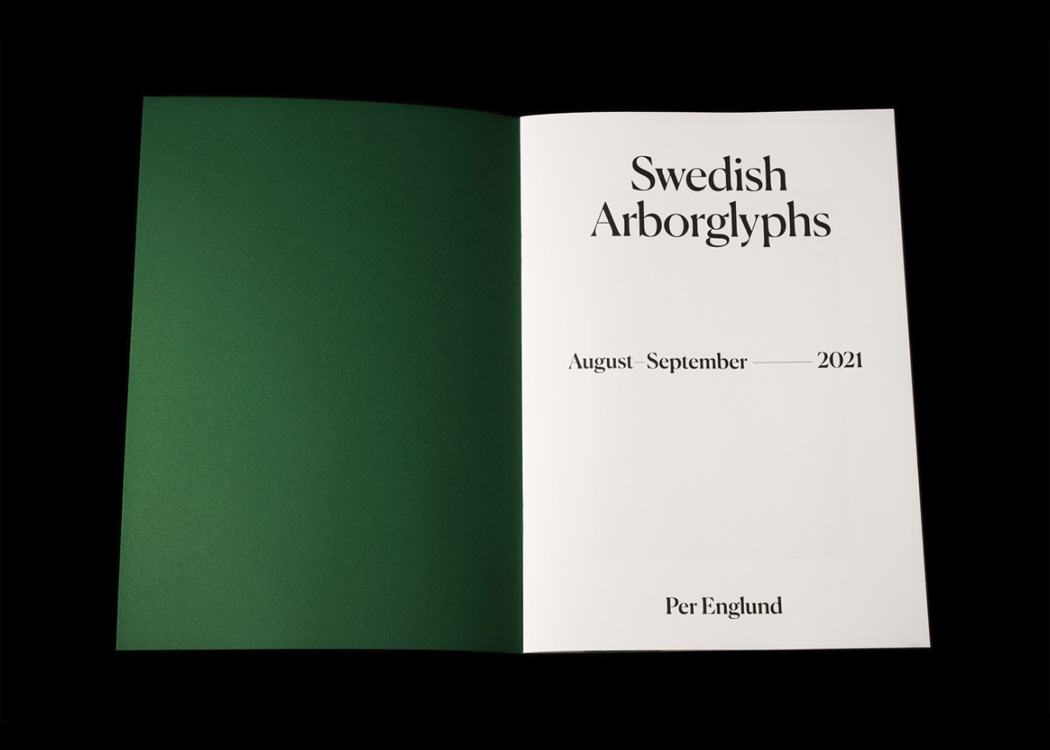 Per Englund: Swedish Arborglyphs - 2