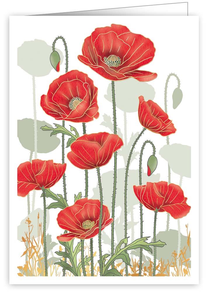 Red Poppies, Greeting Card