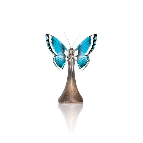 Ready to Fly Ltd Ed