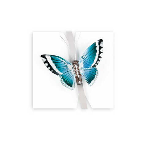 Ready to fly Ltd Ed