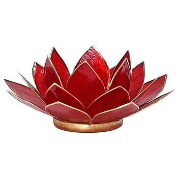 Set Of 7 Lotus Atmosferic Lights Gold Trim -- 13.C