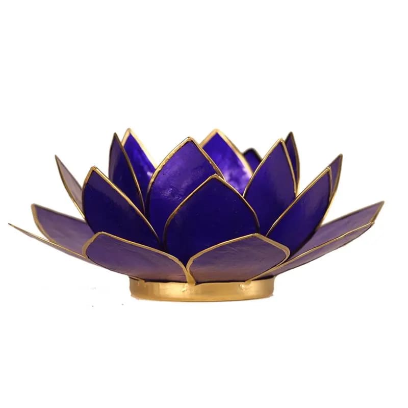 Set Of 7 Lotus Atmosferic Lights Gold Trim -- 13.C - 7