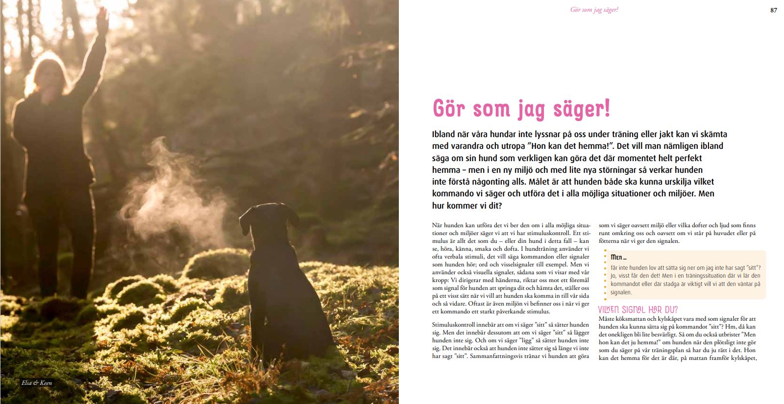 Apportering till vardags och fest (andra utgåvan) - 3