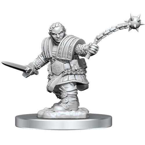 D&D Nolzur's Marvelous Miniatures: Dwarf Fighter Female - 3