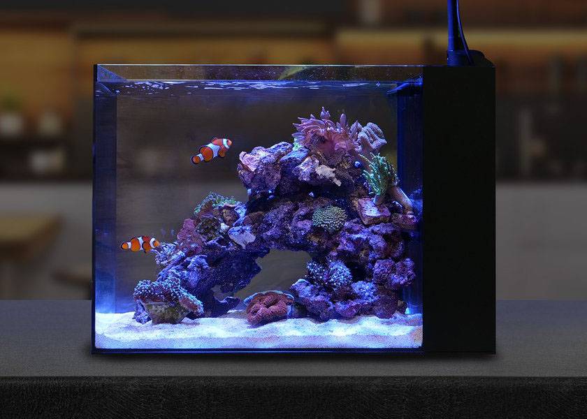 Waterbox AIO 25 Peninsula