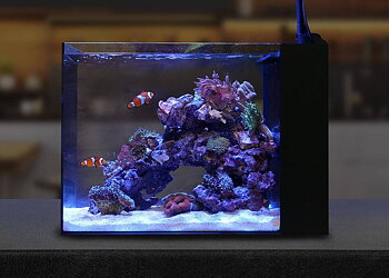 Waterbox AIO 25 Peninsula