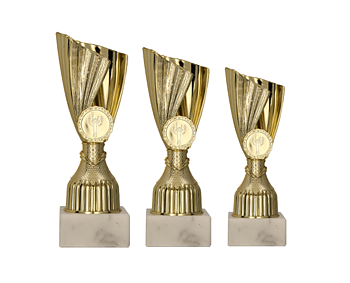 Pokal Västervik