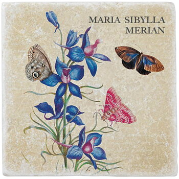 Marmorplatta, Blå blommor och fjärilar, Maria Sibylla Merian