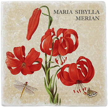 Marmorplatta, Röda blommor, Maria Sibylla Merian