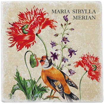 Marmorplatta, Röda blommor och fågel, Maria Sibylla Merian