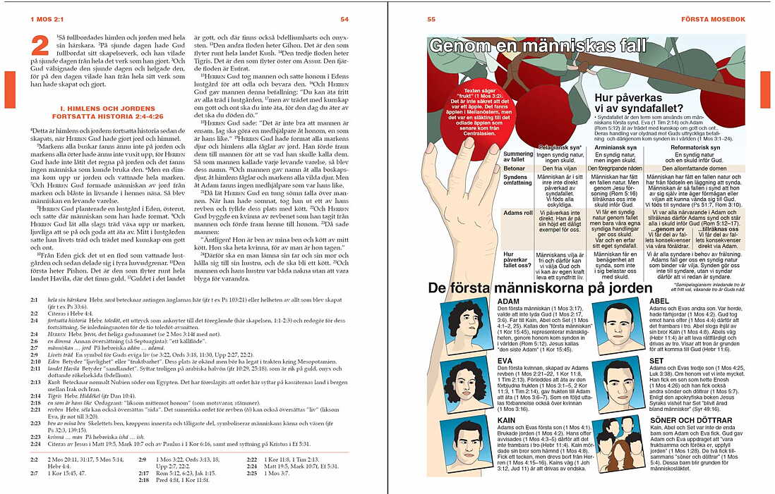 Steg för steg Studiebibel, blå skinnimitation - 5