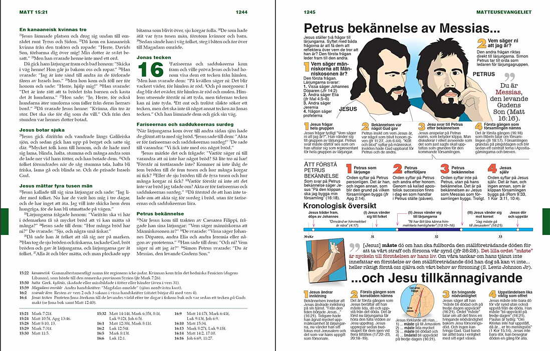Steg för steg Studiebibel, blå skinnimitation - 2