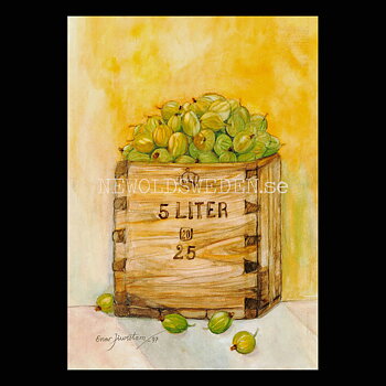 Krusbär Enar Jiwestam 2 av 79 - Vykort A5