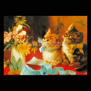 Kattungar och blommor - Vykort A5