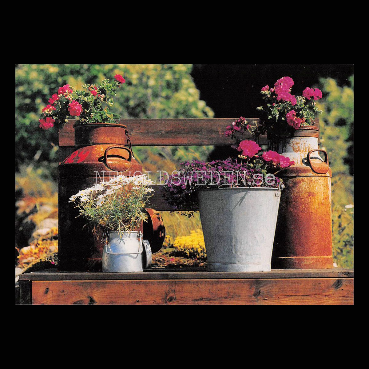 Mjölkbordet Sommarblommor - Vykort A5
