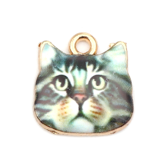 Charm   Enameld Cathead GreyBrownblack