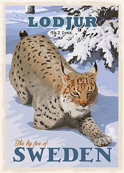Poster Lynx A4 - ThomasO