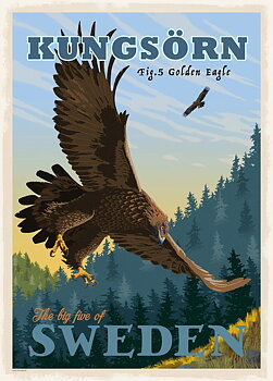 Poster The Golden Eagle A4 - ThomasO