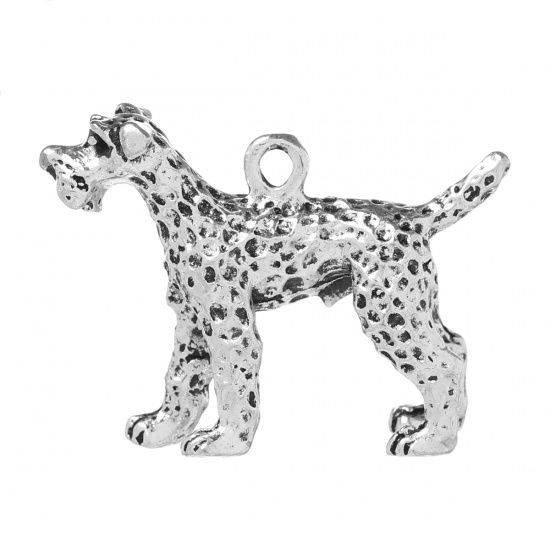 Charm -  Dog 3D  Schnauzer