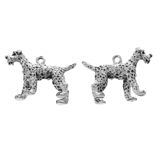Charm -  Dog 3D  Schnauzer - 2
