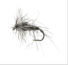 Svart Mygg Black Daiichi 1180 # 16