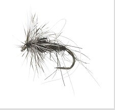 Svart Mygg Black Daiichi 1180 # 16
