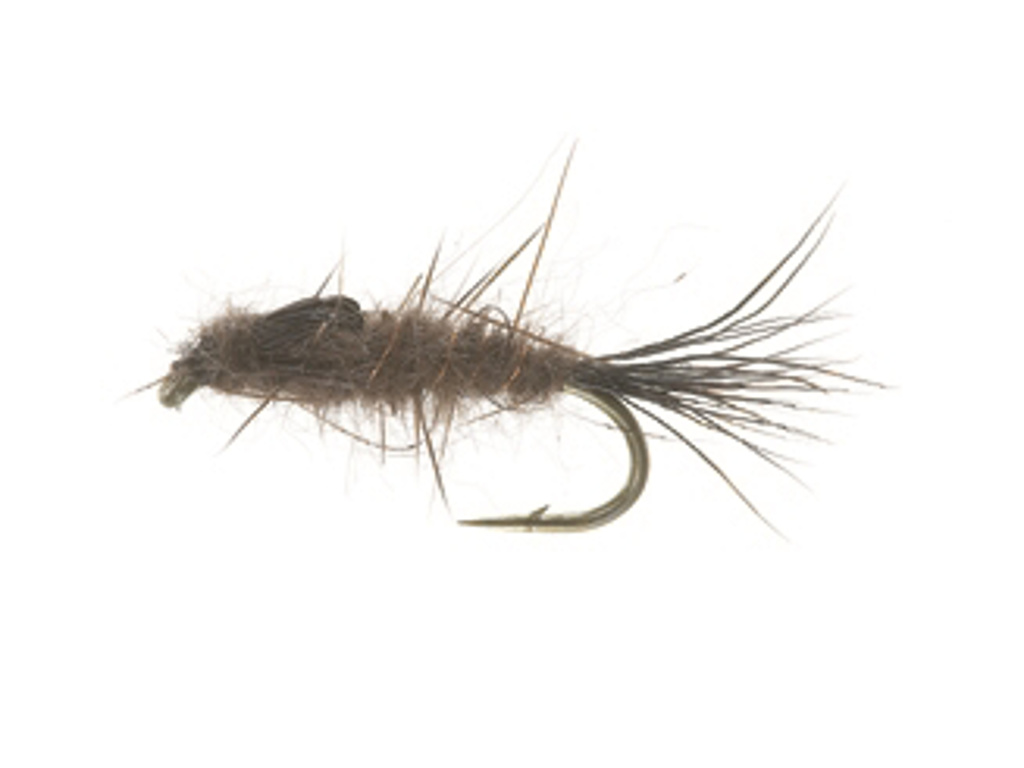 A.P. Breaver Dark Brown 