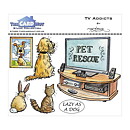 The Card Hut Clear Stamps - TV Addicts