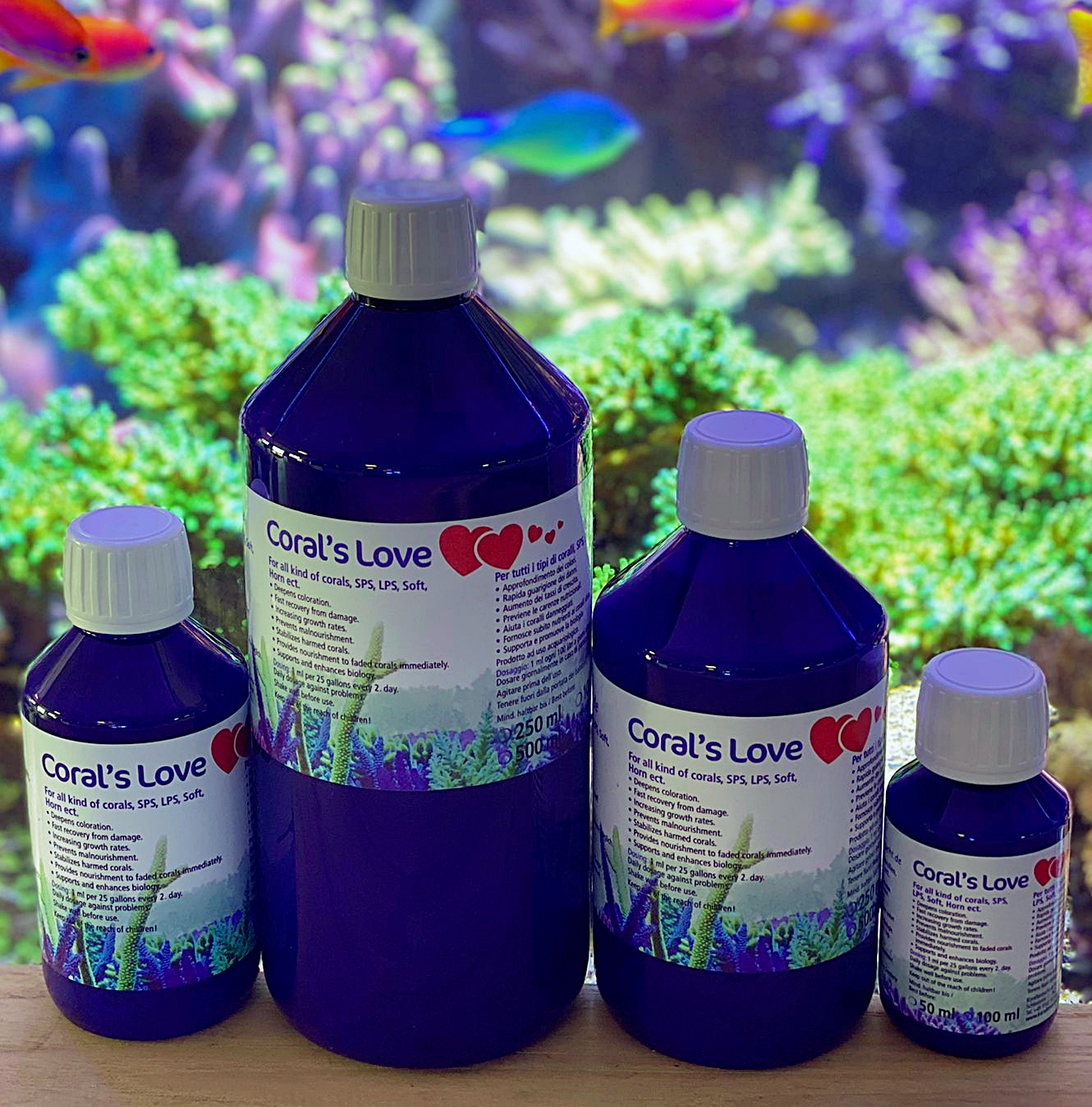 Korallen Zucht Coral`s Love