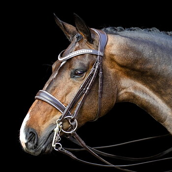 Kandar SD Design Celebrity brunt med stenar