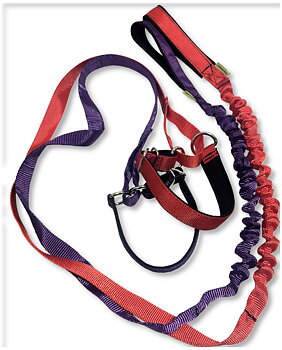 Stötdämpande agilitykoppel & halsband i ett