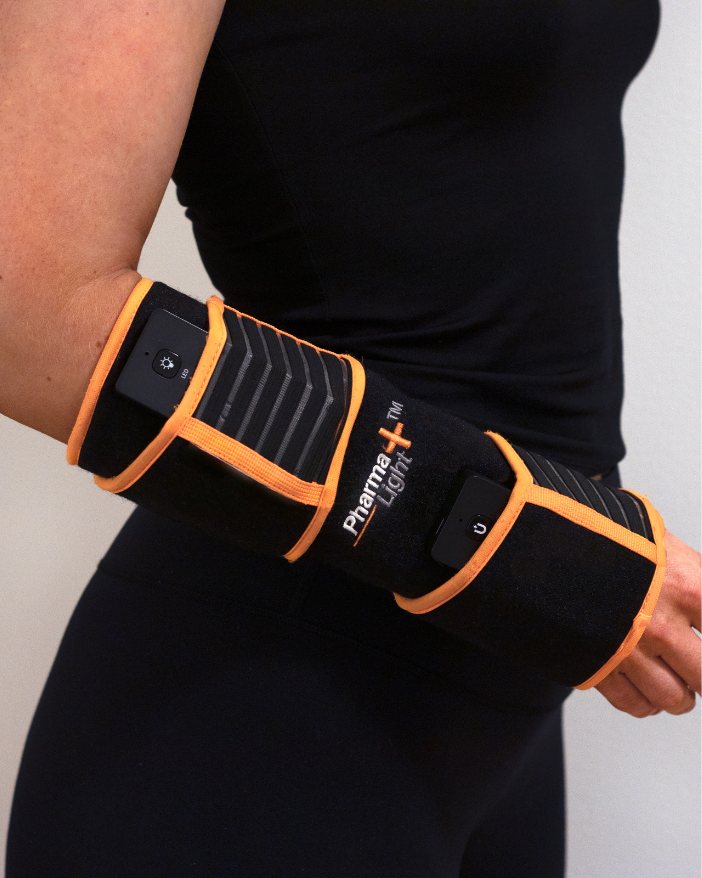 ModelLight Led Treatment Pad PEMF Equine - 21