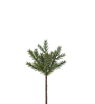 Grankvist Mr Plant