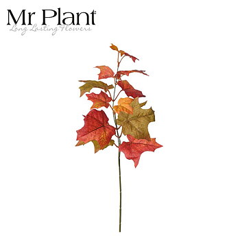 Höstlövskvist 53cm Mr Plant