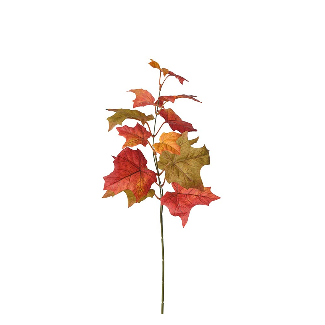 Syksyn lehti oksa Mr Plant - 2
