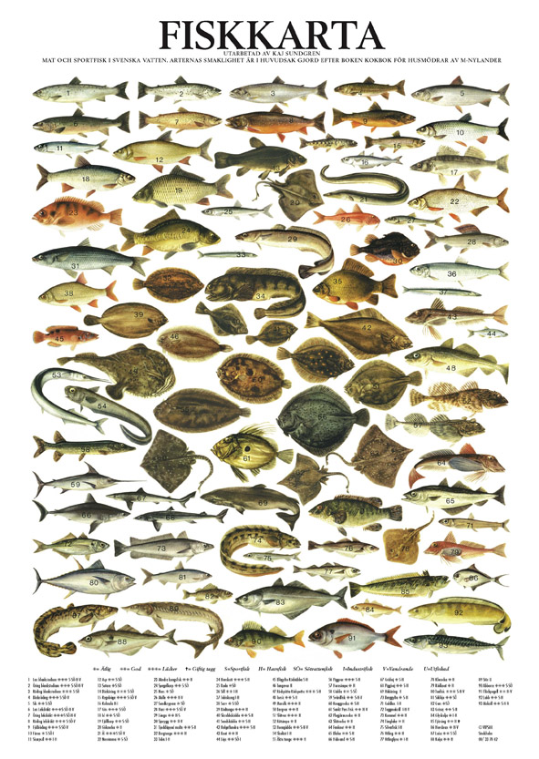 Poster Fiskkarta