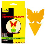 Klisterfälla krukväxter 12-pack Trinol