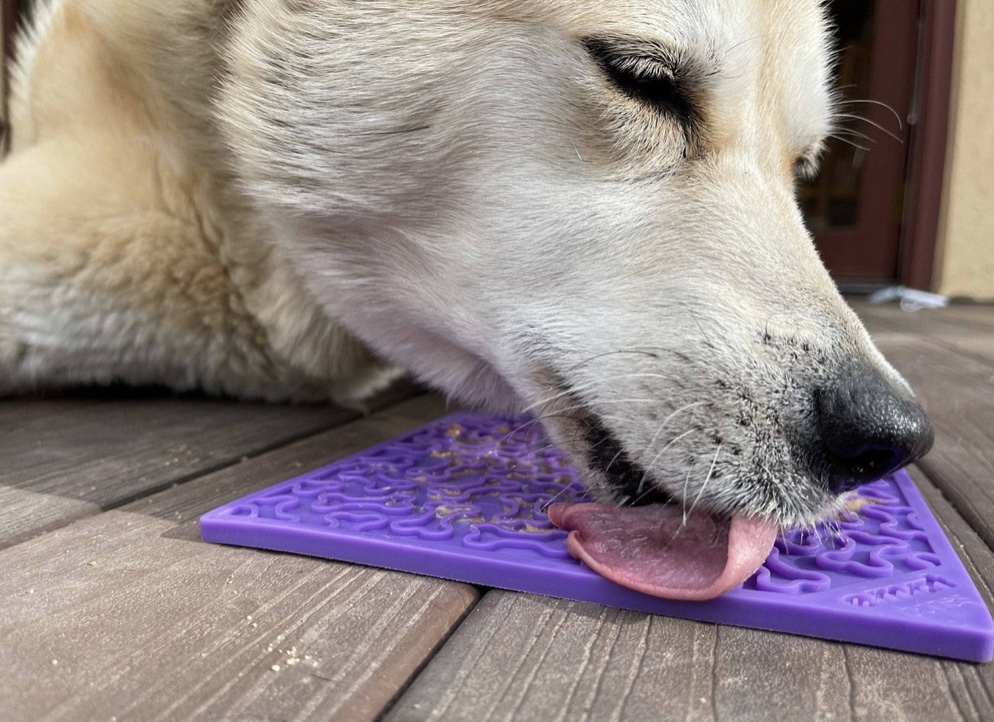 Sodapup Bones Design Licking Mat - Purple - 2