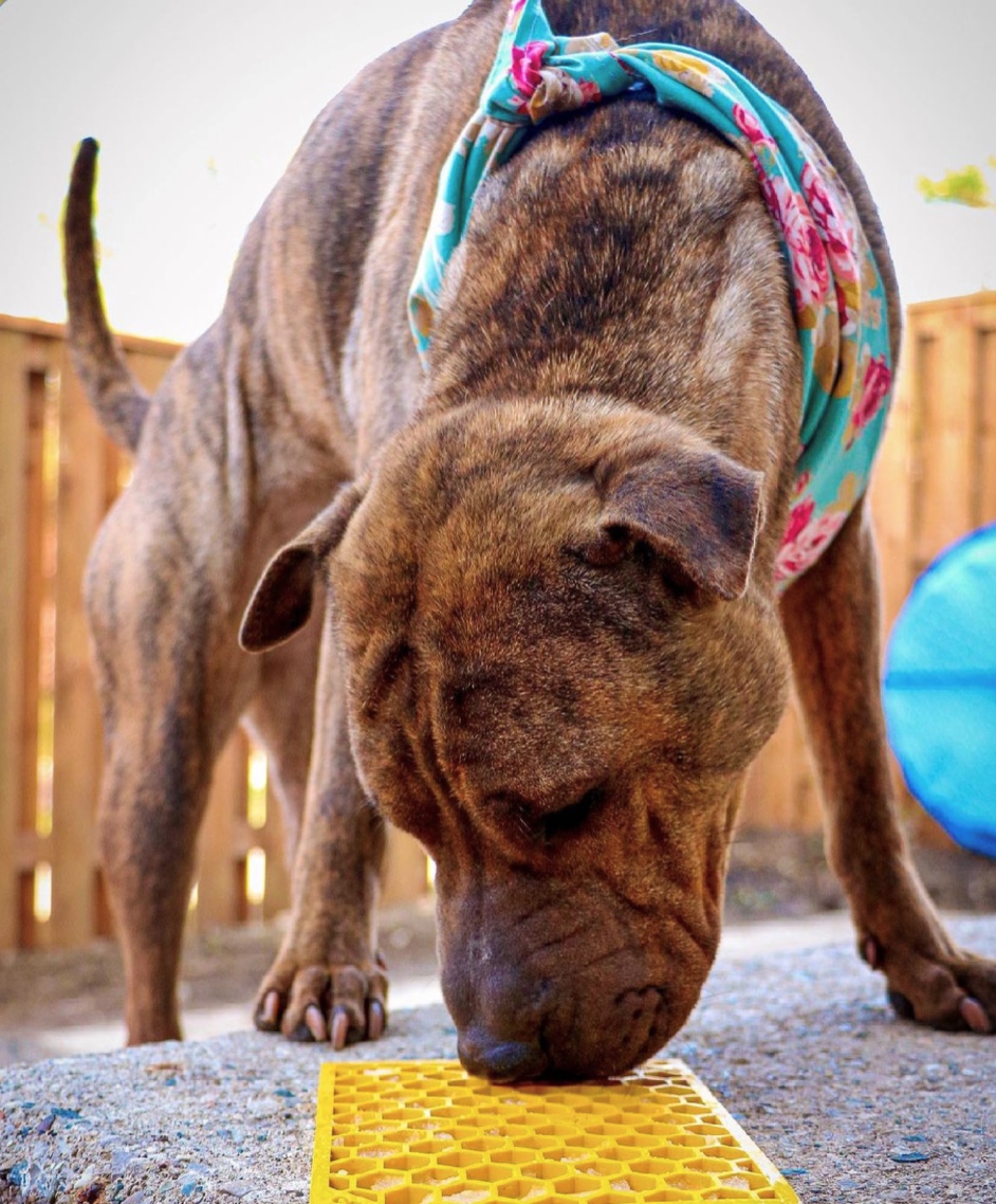 Sodapup Honeycomb Design Licking Mat - Yellow - 2