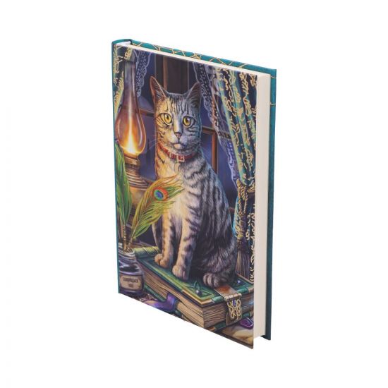 Anteckningsbok - Katt med Lampa