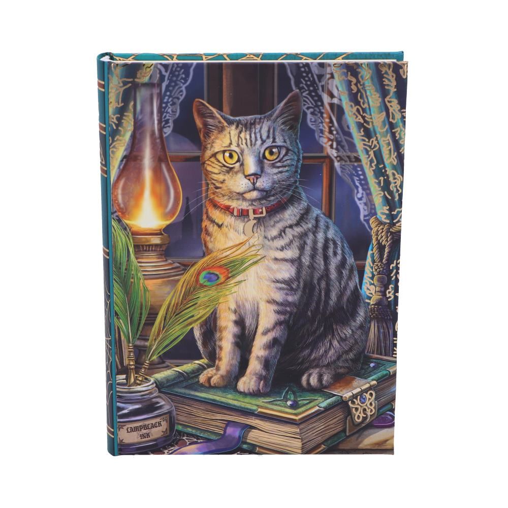 Anteckningsbok - Katt med Lampa - 2