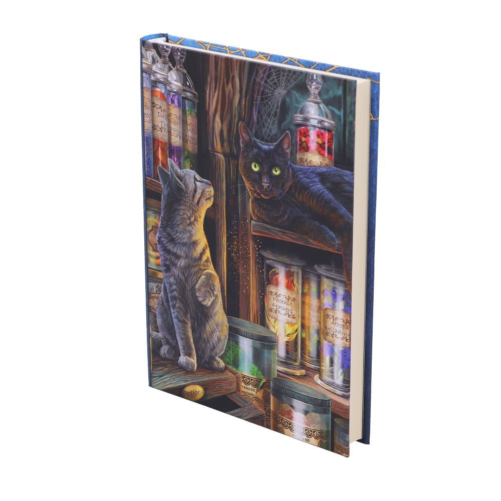 Anteckningsbok - Magical Emporium - 2