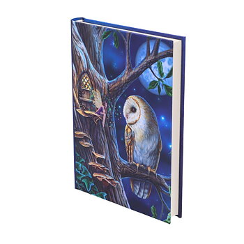 Anteckningsbok - Lisa Parker Fairy Tales Journal