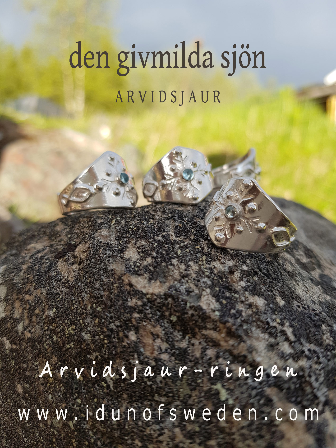 Ringen från Arvidsjaur - 3