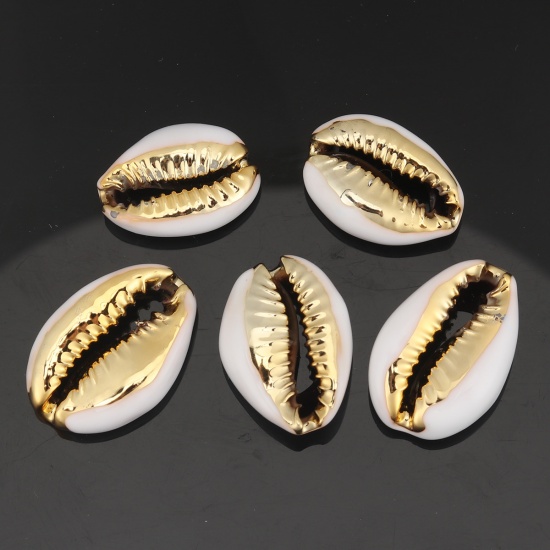 Charm  bead , snail conch white Gold
