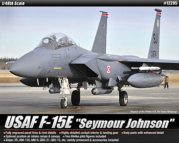 1/48 F-15E "Seymour Johnson"