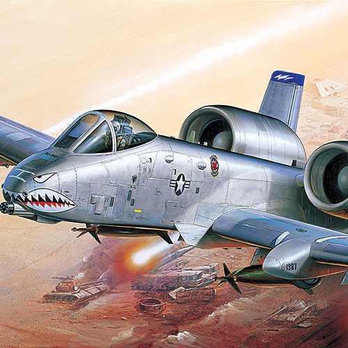 1/72 A-10A "OPERATION IRAQI FREECOM"