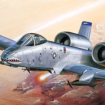 1/72 A-10A "OPERATION IRAQI FREECOM"