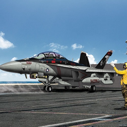 1/72 EA-18G "VAQ-141 Shadowhawks"