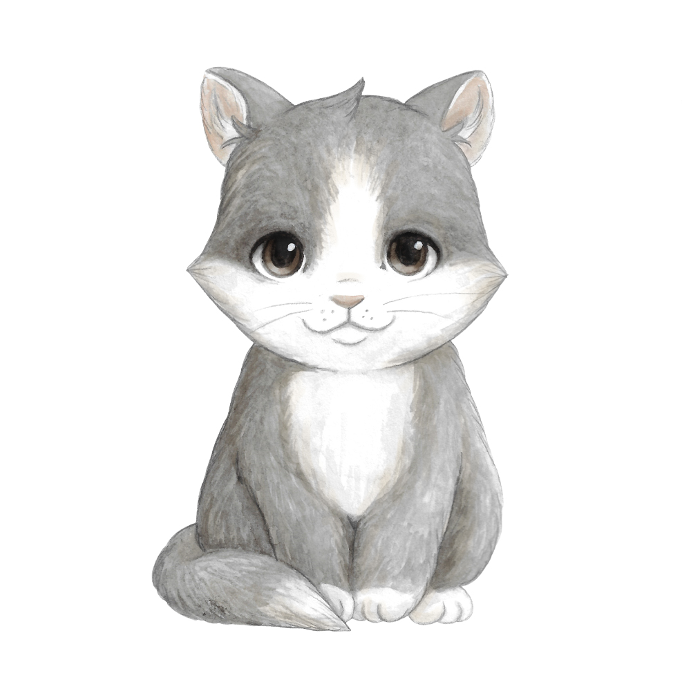 Katten Citty